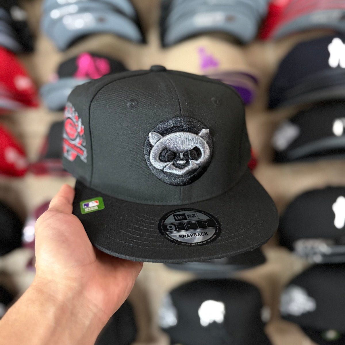 Bears Black